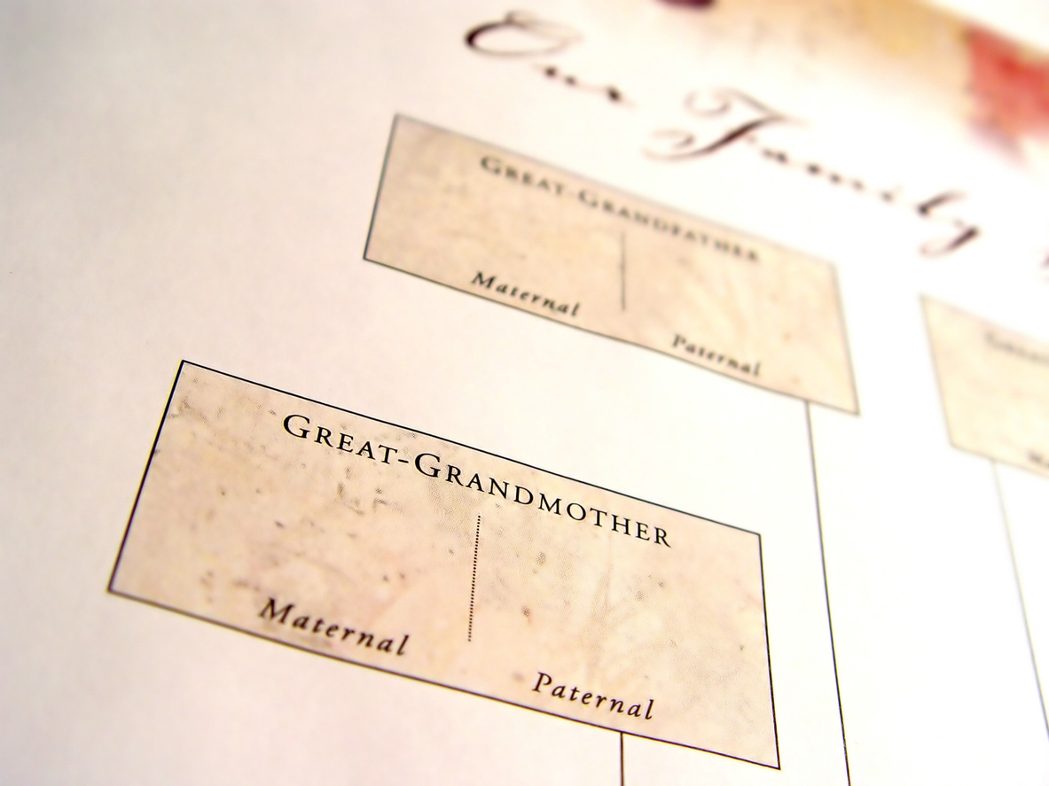 Genogram stamboom