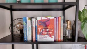 traumasporen boekverslag